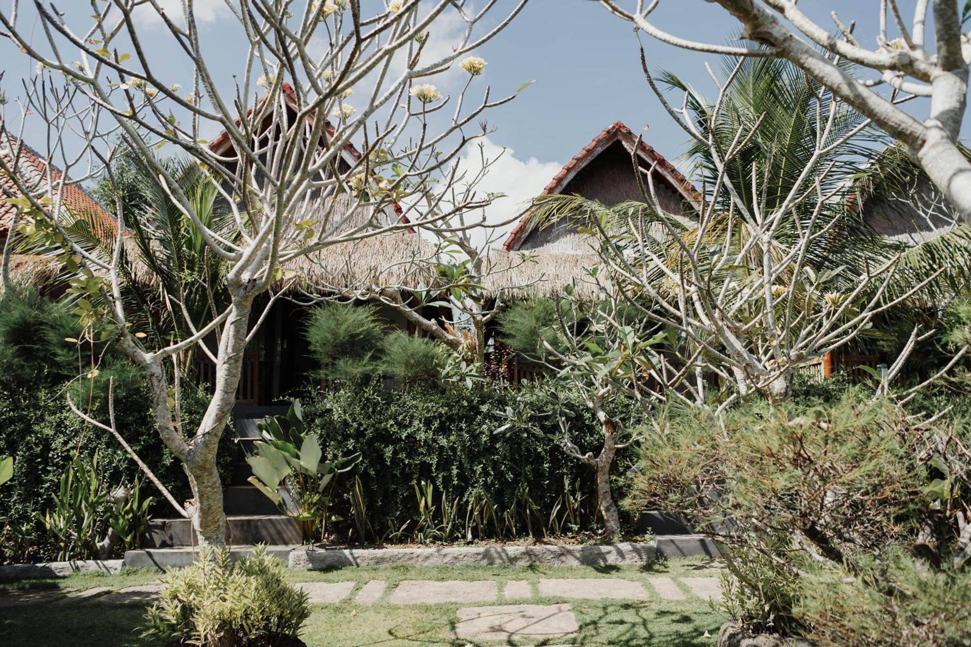 Temeling Jungle Inn Batumadeg Zewnętrze zdjęcie